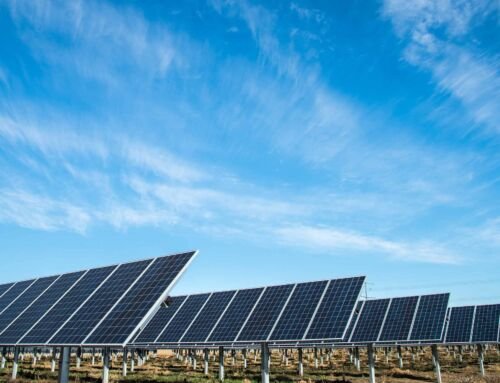 Bioenergy Project Development & Optimization