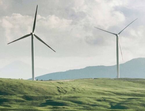 Energy Sector Strategic & Project Consulting