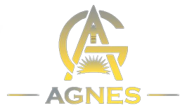 Agnys Pvt Ltd